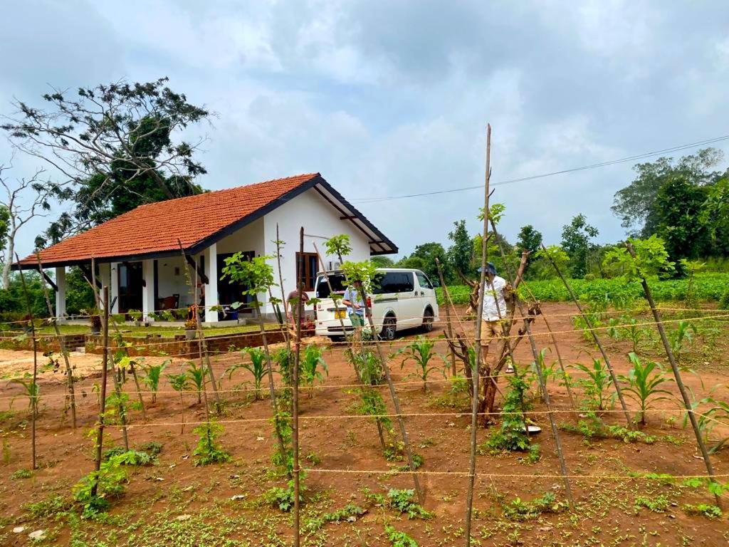 Moni Farm House Wilpattu Nochchiyagama Exterior photo