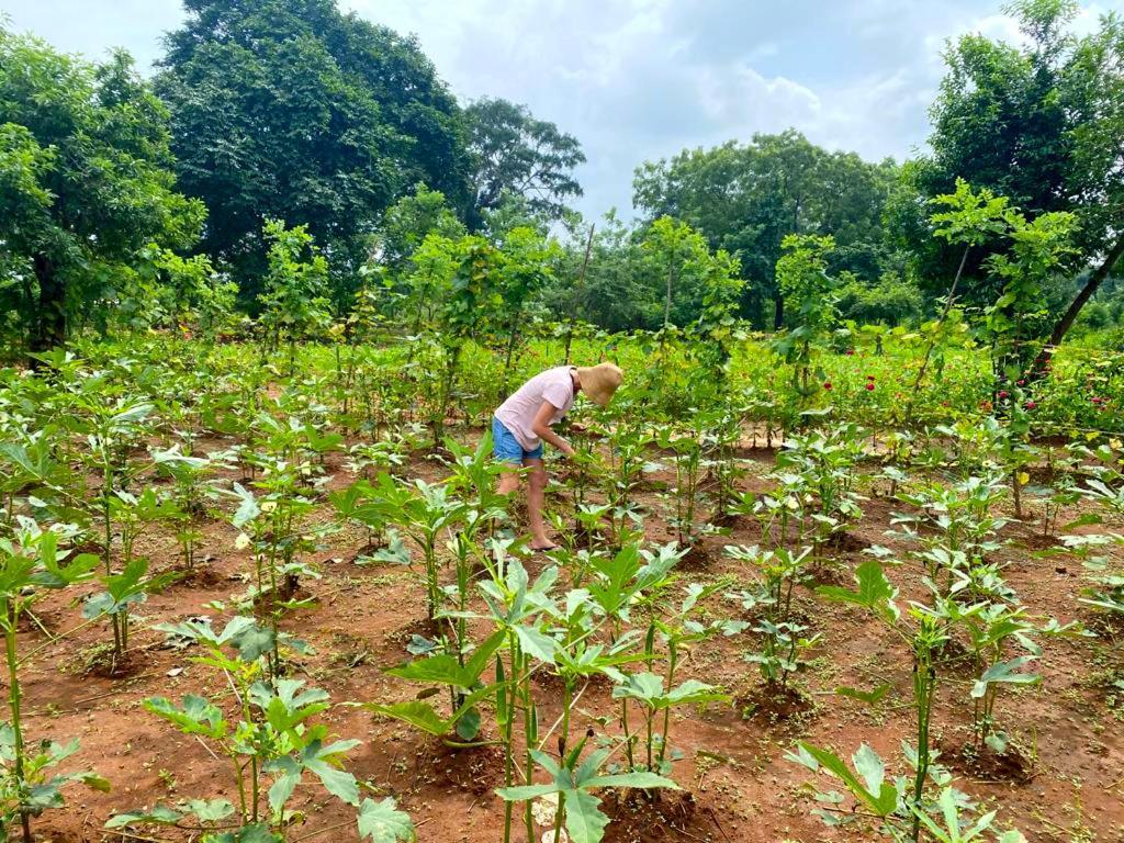 Moni Farm House Wilpattu Nochchiyagama Exterior photo