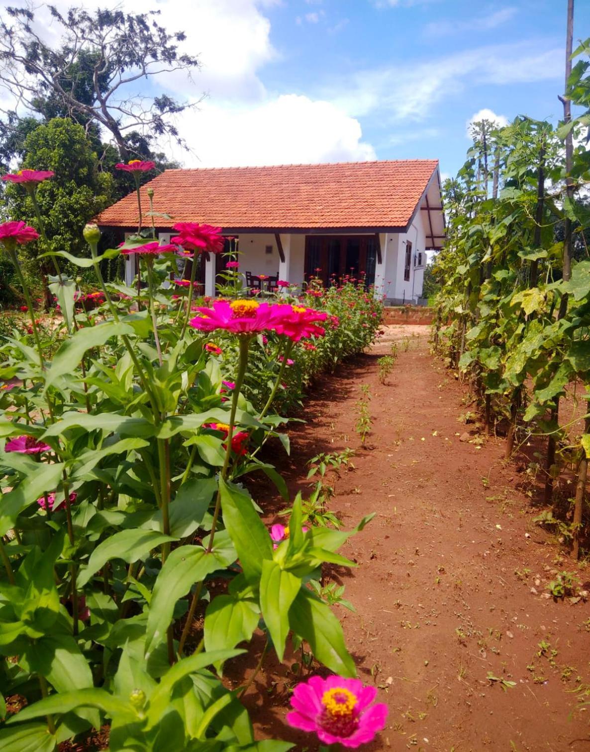 Moni Farm House Wilpattu Nochchiyagama Exterior photo
