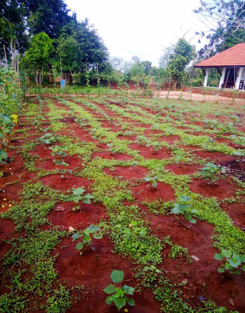 Moni Farm House Wilpattu Nochchiyagama Exterior photo
