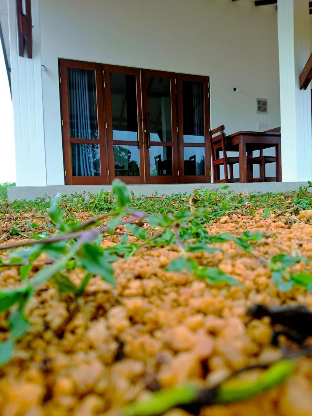 Moni Farm House Wilpattu Nochchiyagama Exterior photo